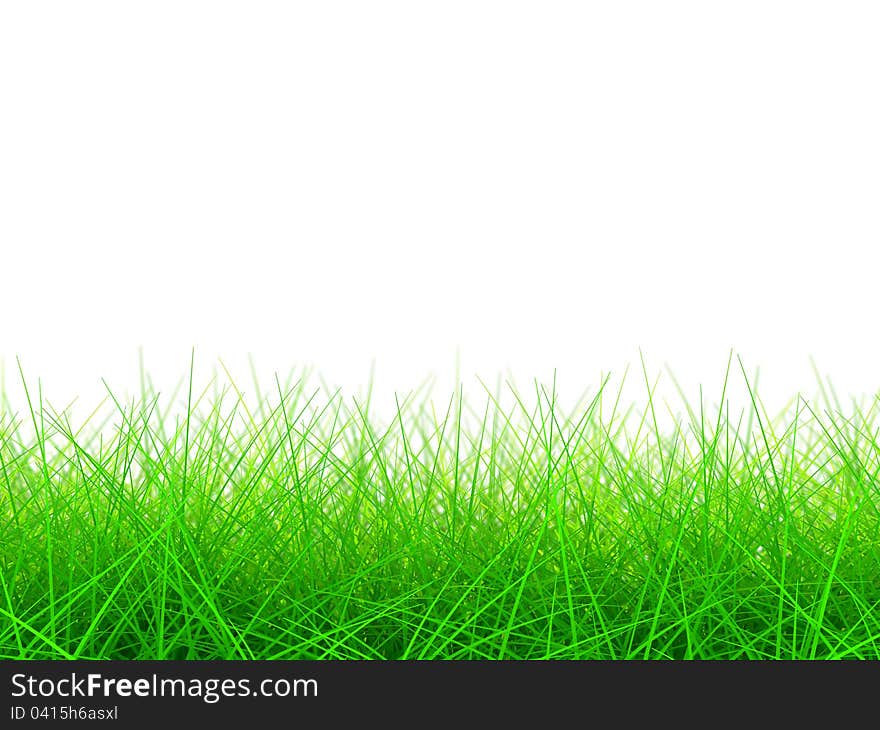 Grass Background