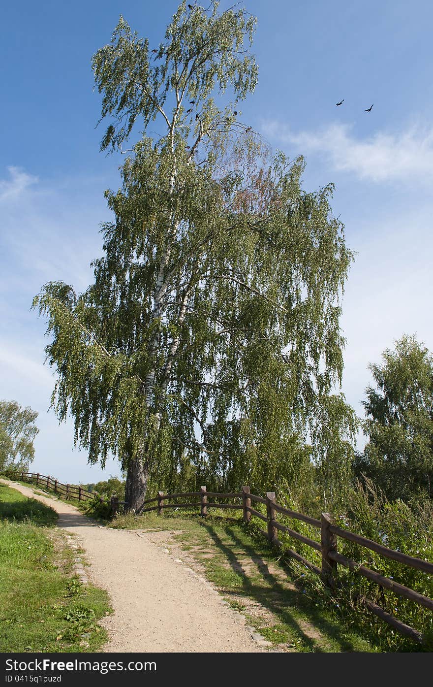 Footpath along the wooden fence