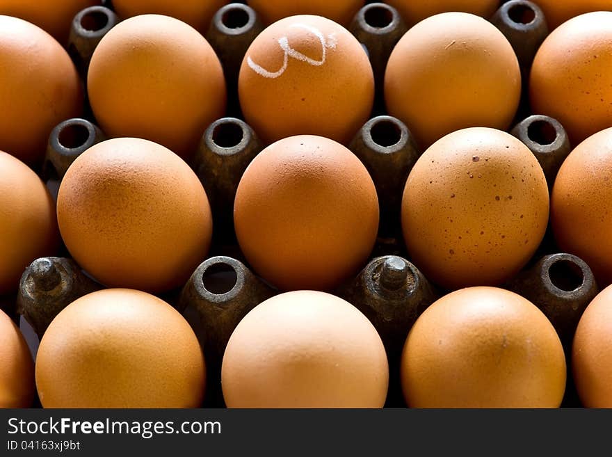 Eggs in the panel.