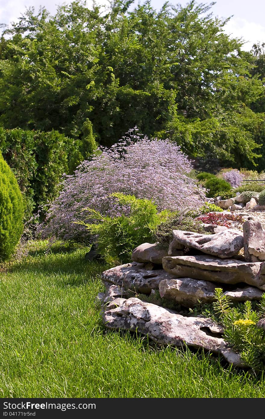 Exotic decorative plants in the summer park