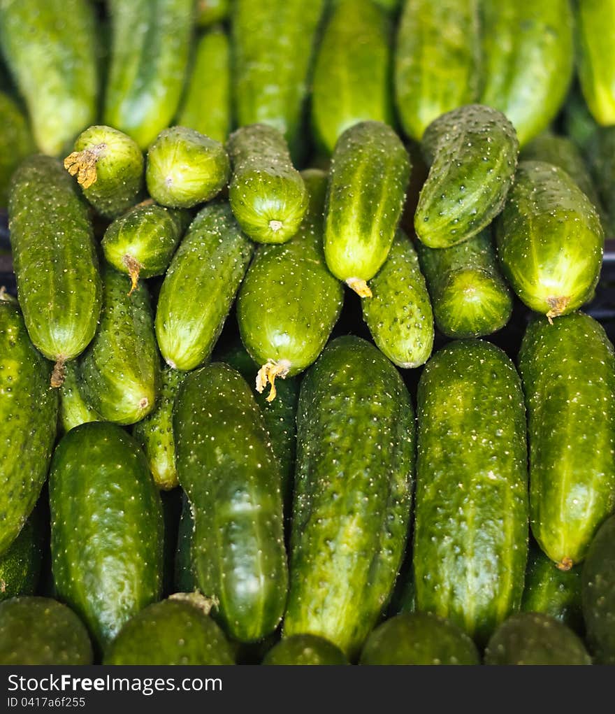 Cucumbers For Sale On Market Place