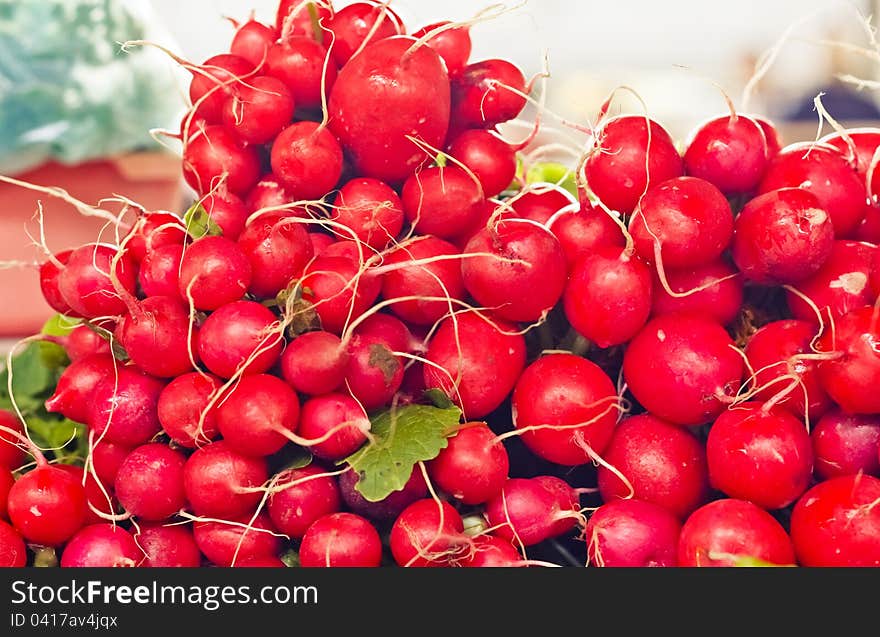 Freshly harvested radishes on display at the farmers market. Tasty organic radish at local market. Freshly harvested radishes on display at the farmers market. Tasty organic radish at local market