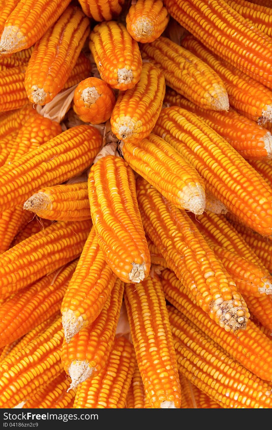 Image of Dried corn background