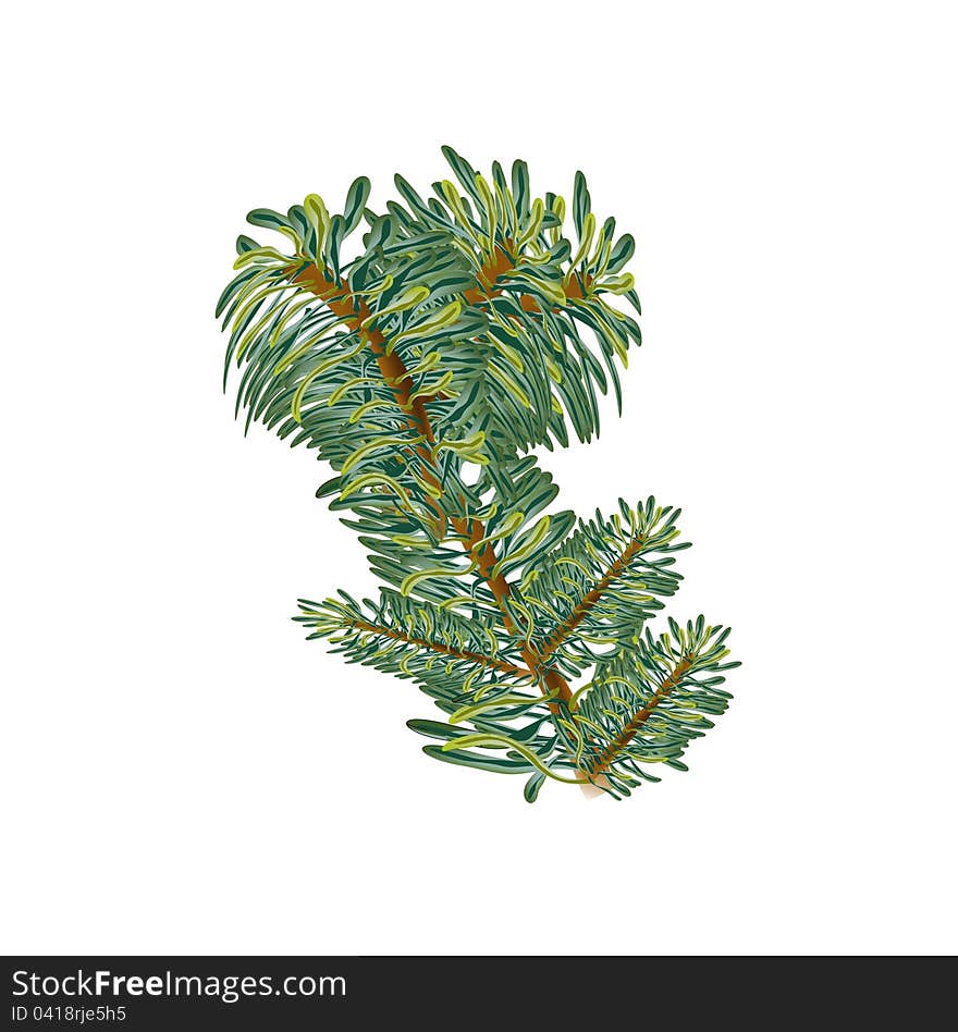 Christmas Concept Branch Fir Tree Mesh