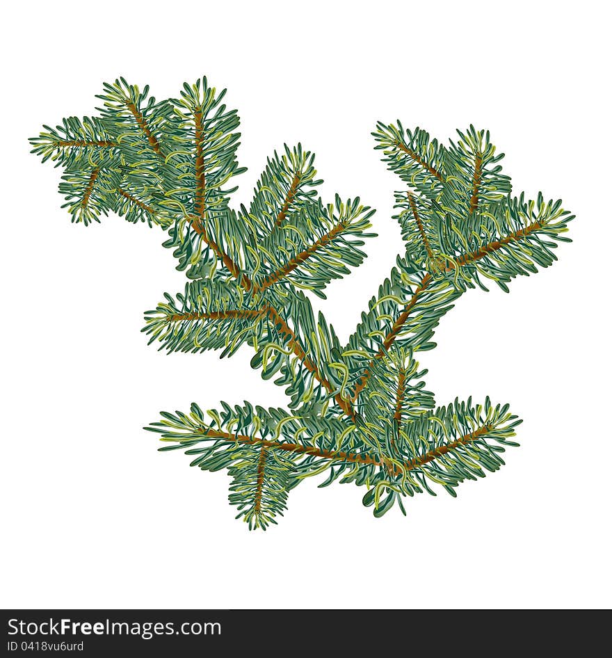 Christmas Concept Branch Fir Tree Mesh