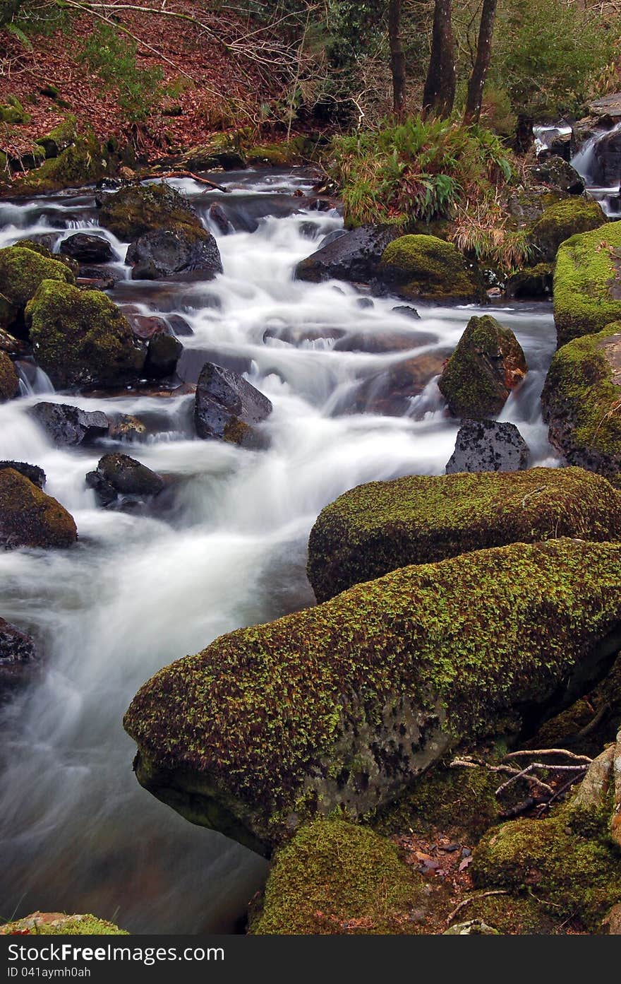 A forest stream, near Okehampton, on dartmoor england