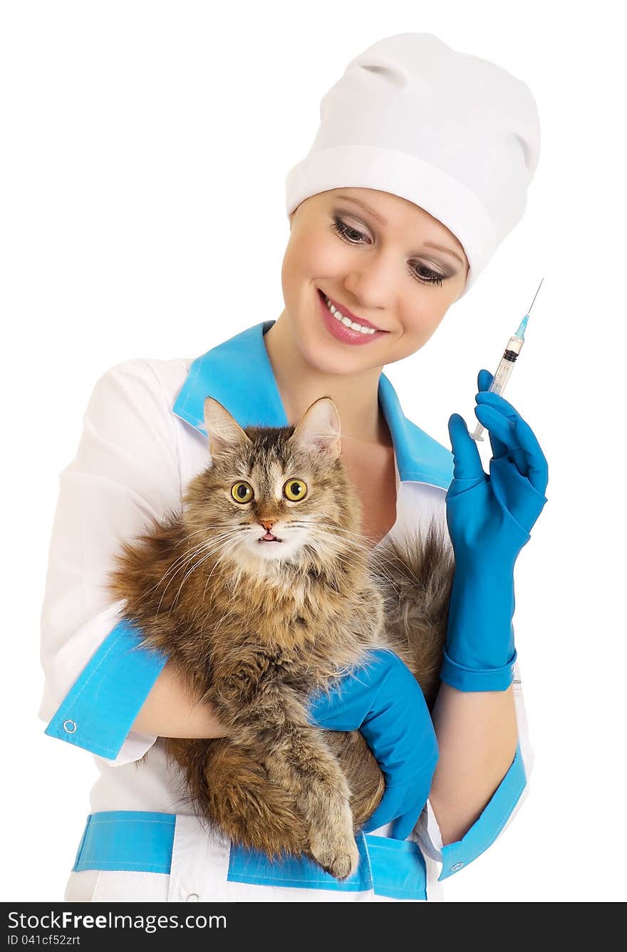 Veterinarian  makes the injection of a cat