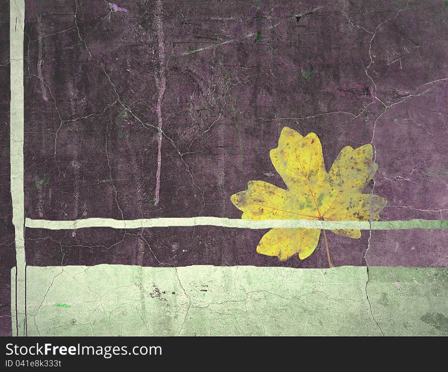 Grunge border on wall and maple leaf