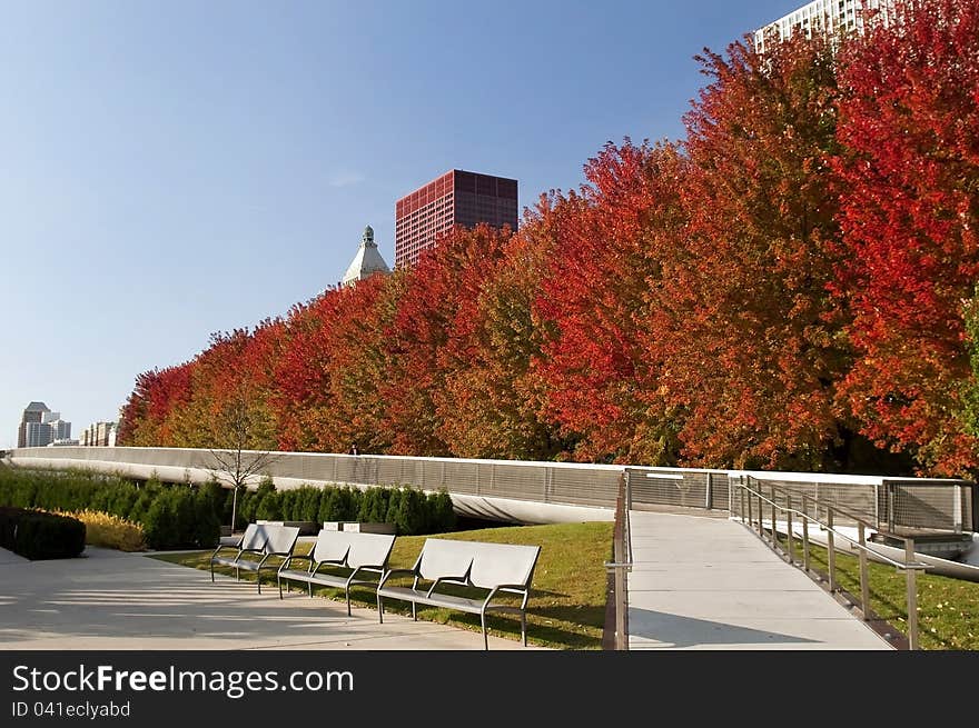 View of the autumn park in Chicago. View of the autumn park in Chicago