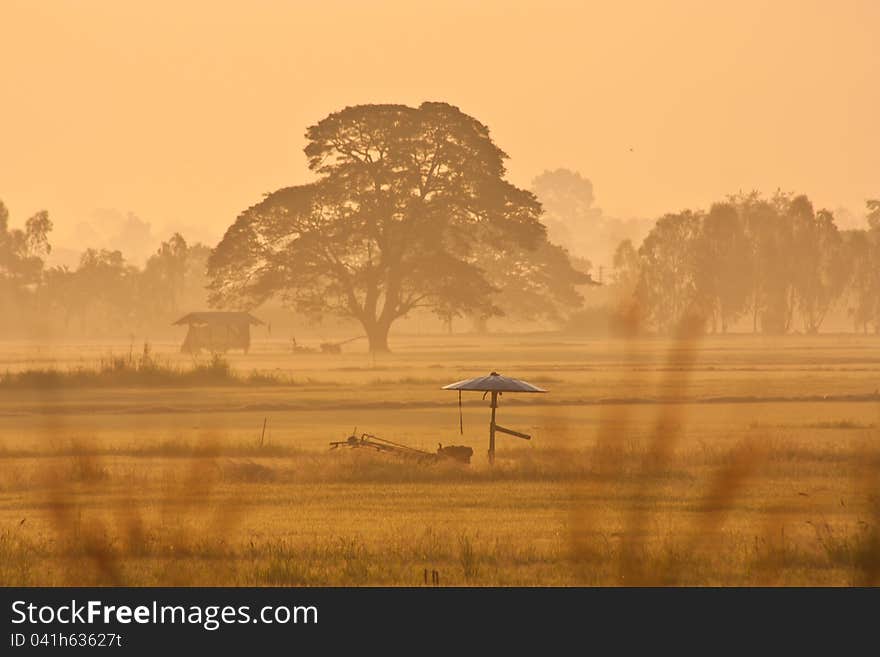 Agriculture farm landscape environment harvest. Agriculture farm landscape environment harvest