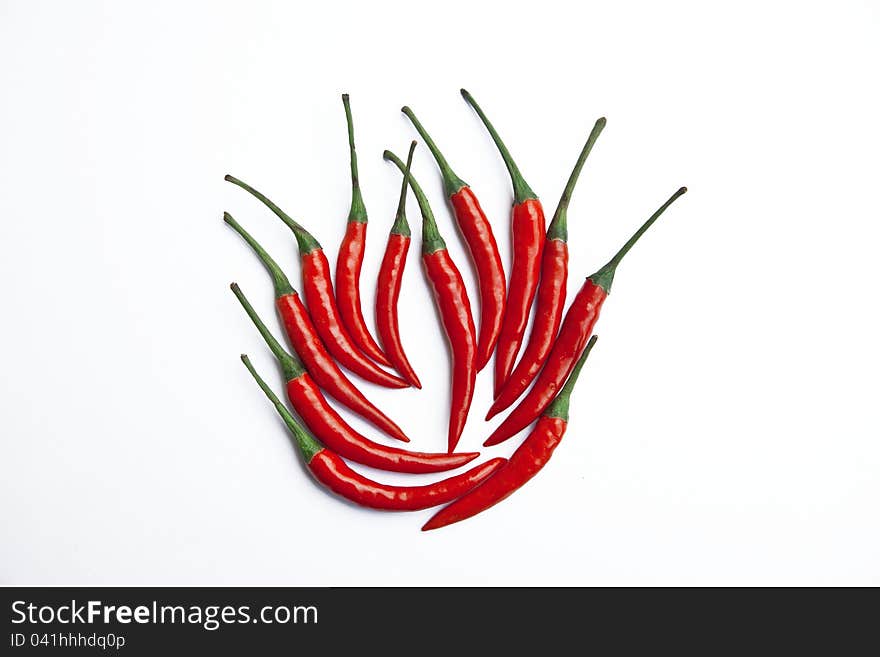 Chili on a white background