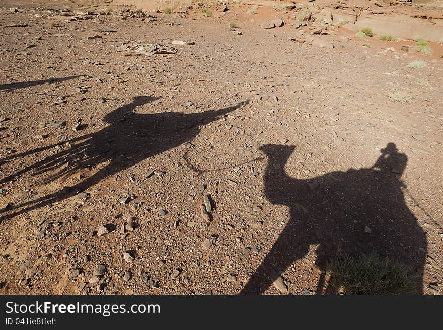 Shadows Of Camels Wadi Rum, Jordan