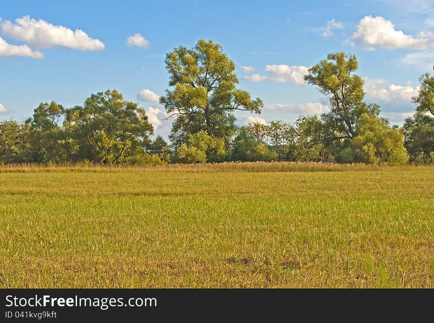 Sloping field in autumn