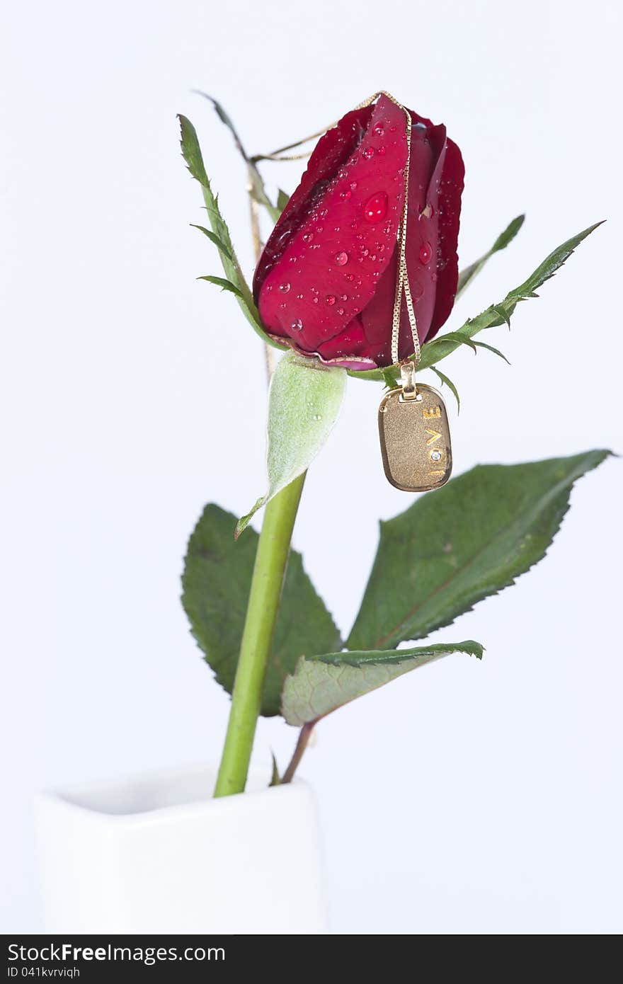 Gold pendant with diamond and red rose on white background