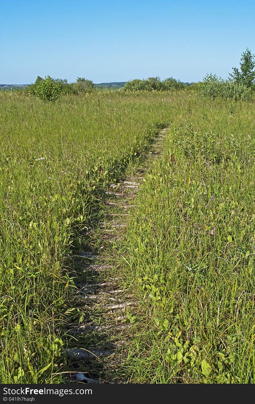 Causeway Across The Marsh