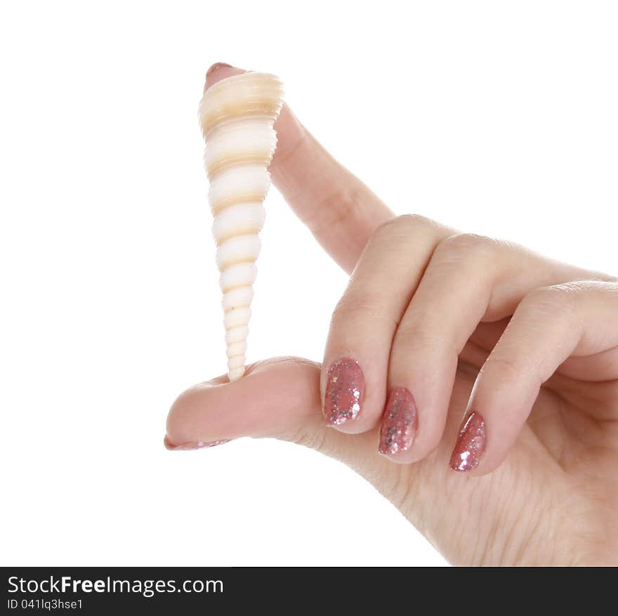 Female hand holding a shell, isolated on white