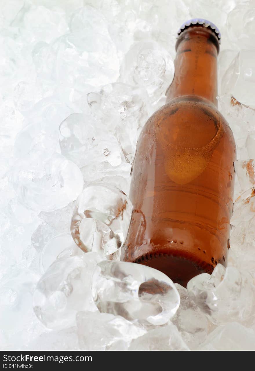 Beer bottle on ice