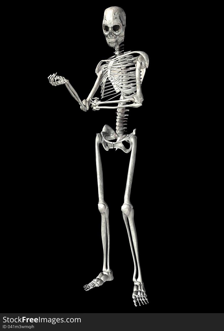 Isolated Skeleton on a black background. Isolated Skeleton on a black background.