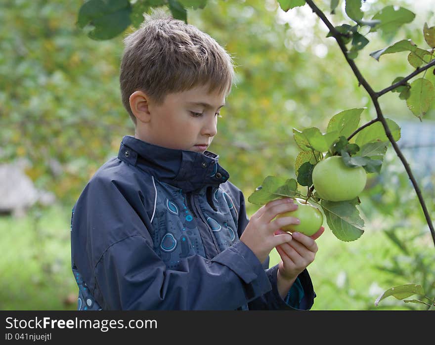 A Boy Checking Apple