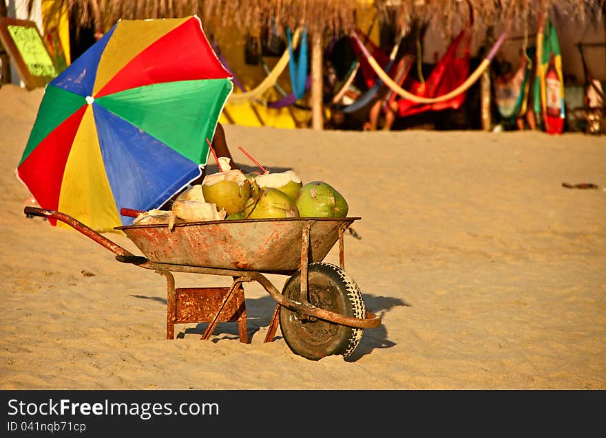 Fresh Coconuts for Sale at Mexican Beach