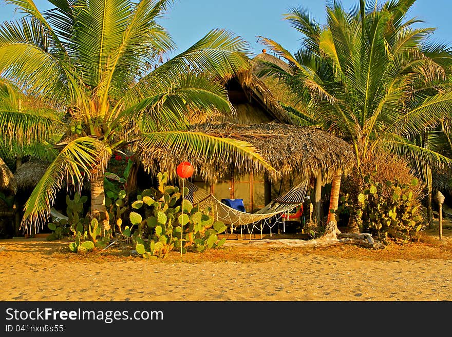 Palms, Hammock, Pacific Ocean, Mexico