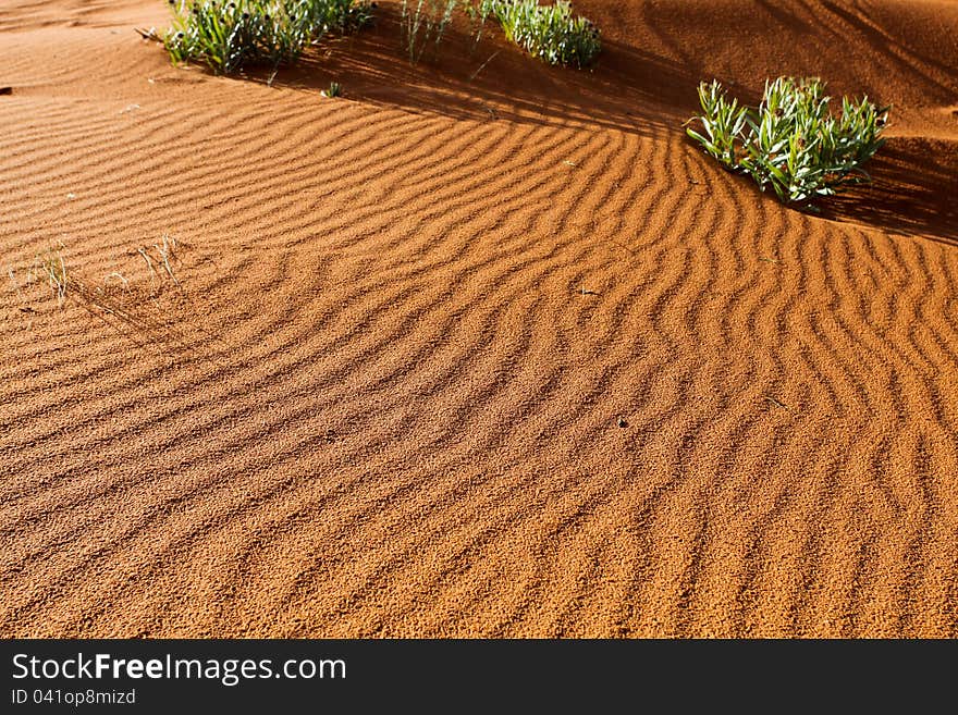 Coral Pink Sand Dune pattern