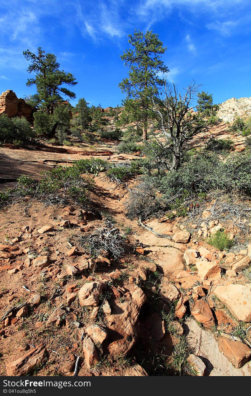 Trailhead near Bryce Canyon National Park