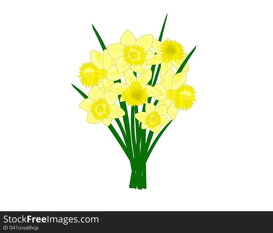 An illustration of a bouquet of daffodil flowers. An illustration of a bouquet of daffodil flowers