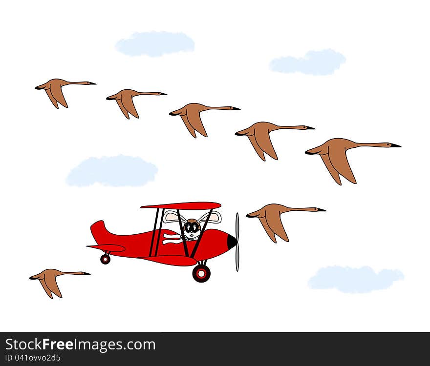 An illustration of a rabbit in a biplane flying in formation with geese. An illustration of a rabbit in a biplane flying in formation with geese