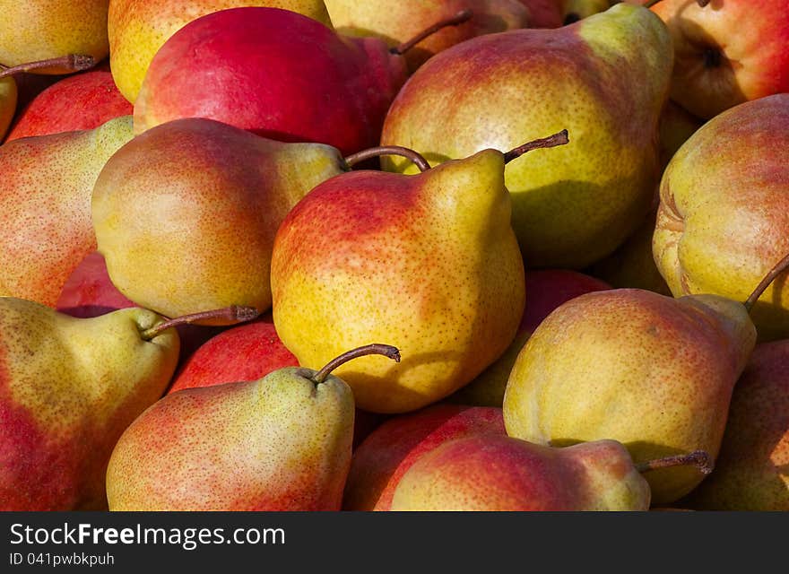 Picture of yellow-red fruits. Picture of yellow-red fruits