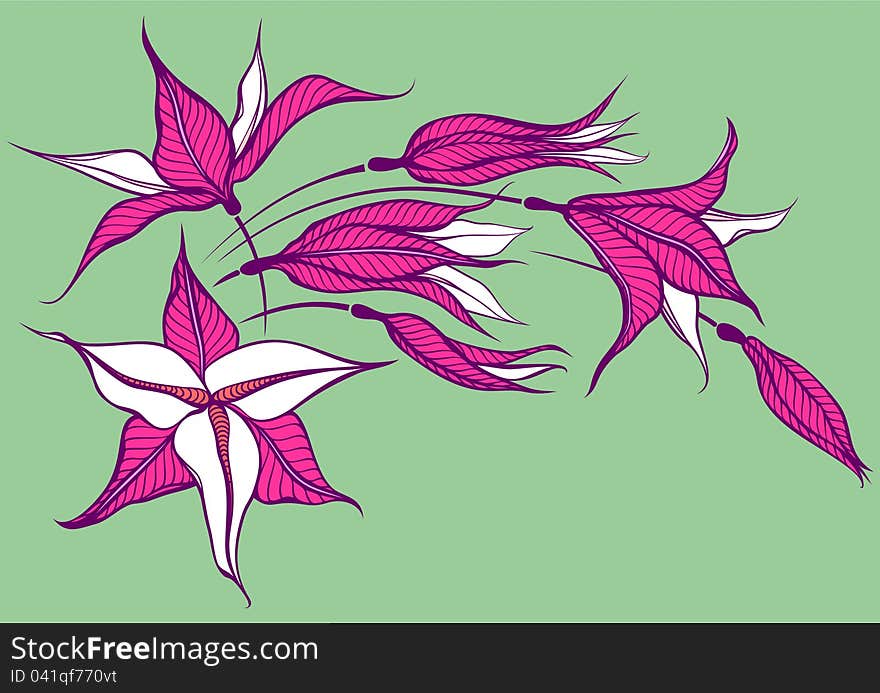 Pink flower on green background