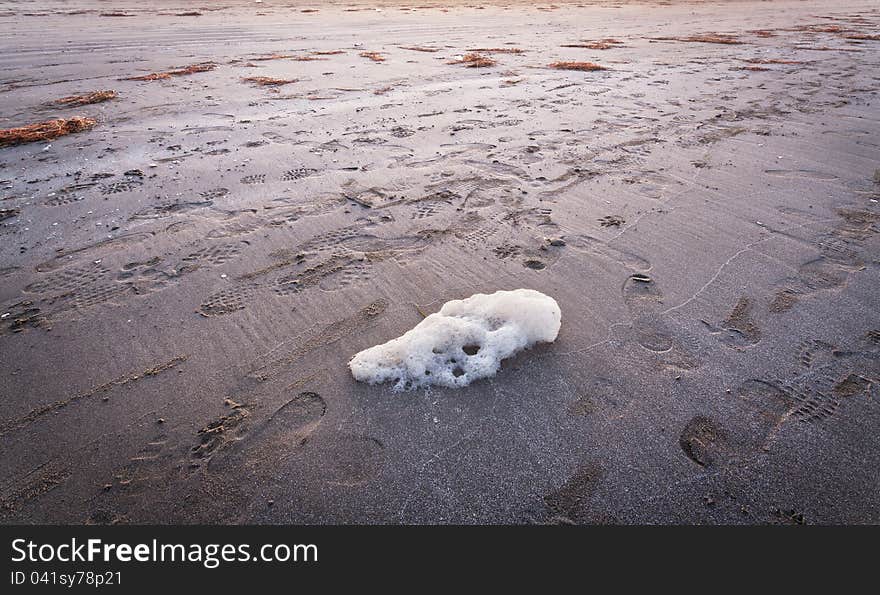 White foam on the sand and decaying algae