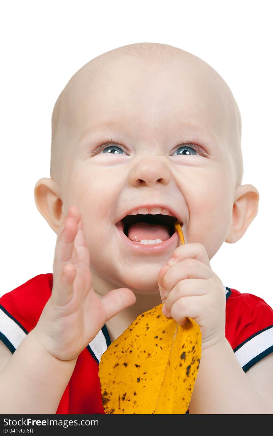 Portrait of infant boy with yellow autumn leaves in the studio on a white background