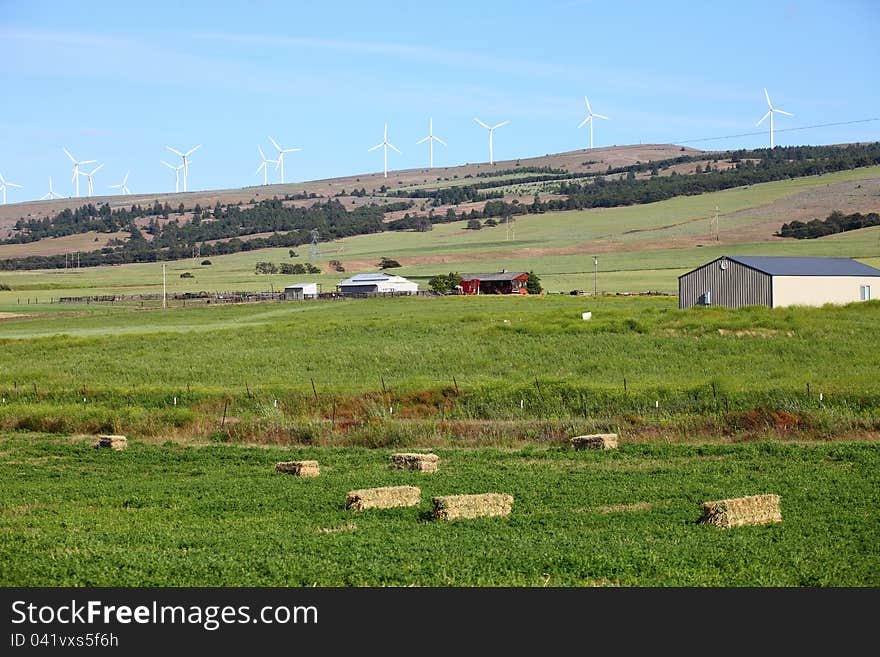 Rural farmland and wind turbines.