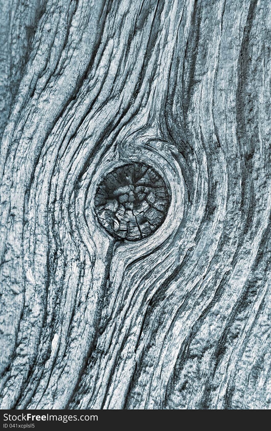 Texture of old wood