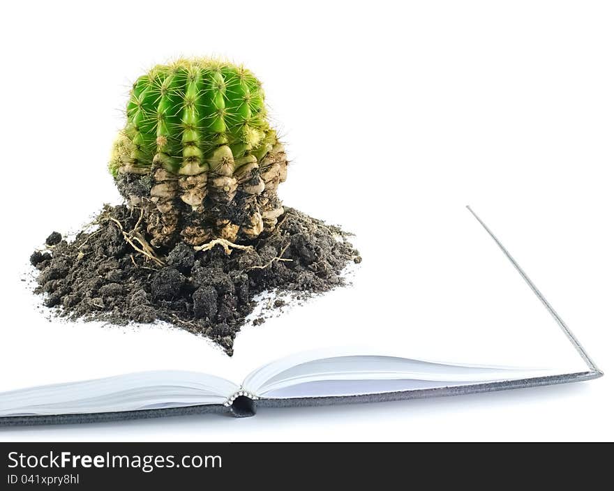 Isolated, The cactus on a white notebook. Isolated, The cactus on a white notebook.