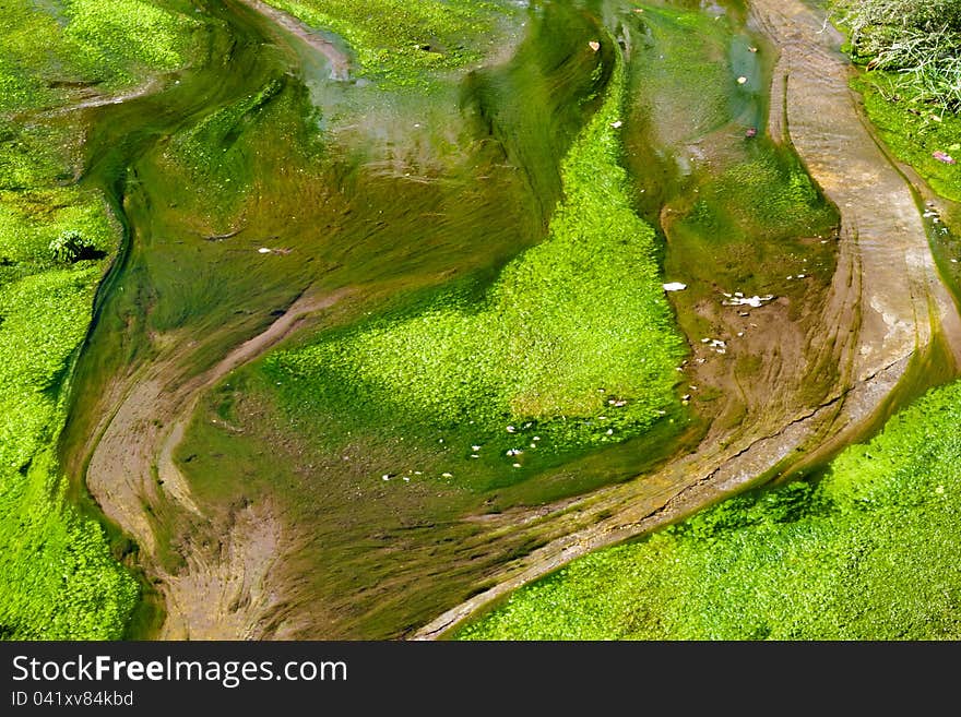 Streams flowing through the grass