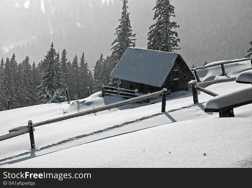 Frozen house at winter