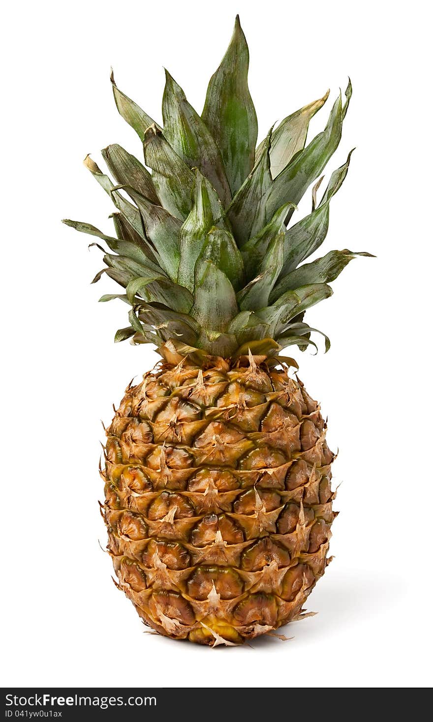 Single full pineapple against white background. Single full pineapple against white background