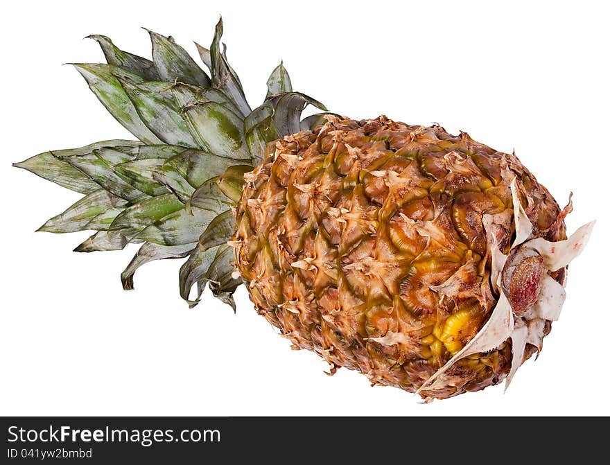 Single full pineapple against white background. Single full pineapple against white background