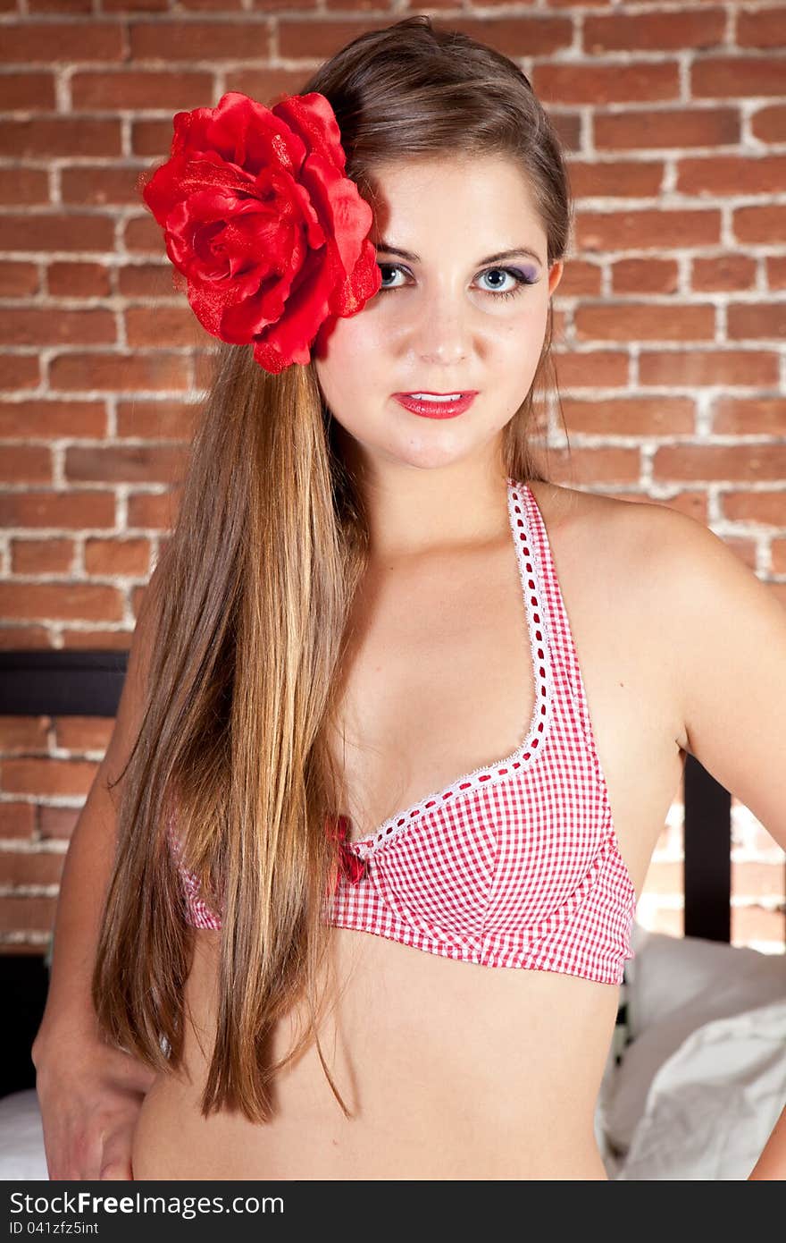 Pinup style beautiful woman wearing checkered lingerie wearing a red flower in her hair. Pinup style beautiful woman wearing checkered lingerie wearing a red flower in her hair.