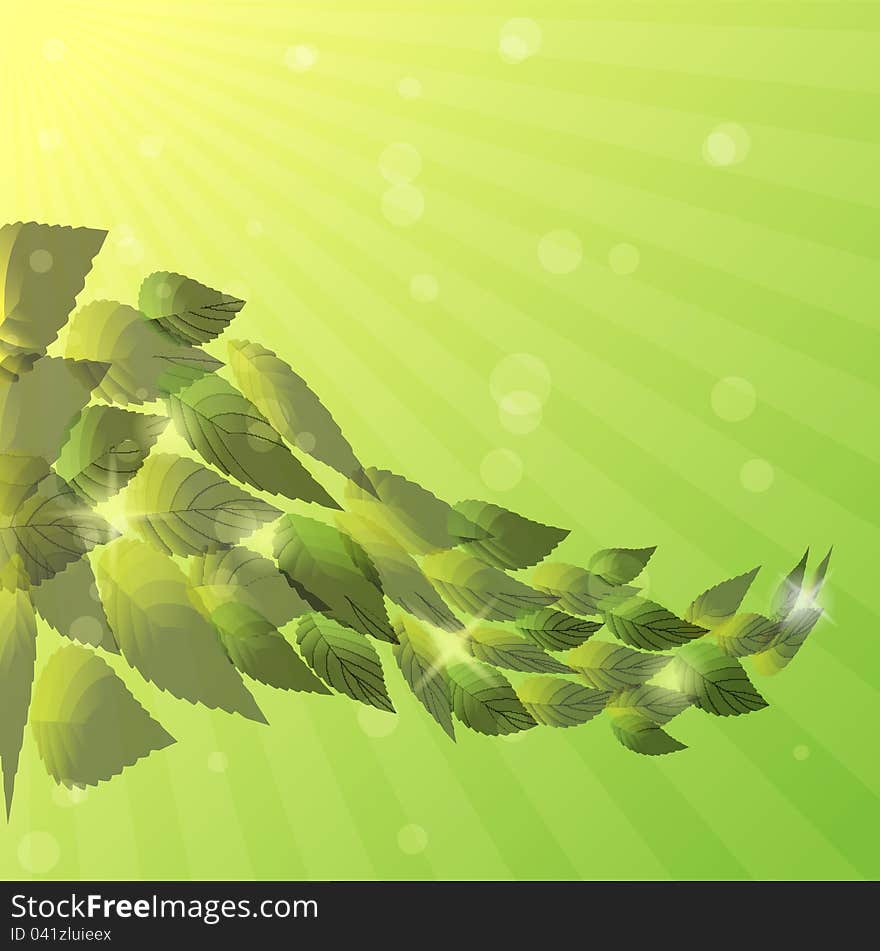 Summer background with green leaves.Vector eps 10