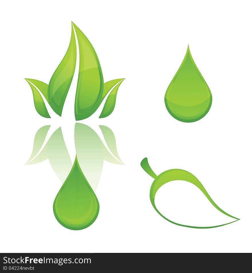 Nature and eco green sign leafs set isolated