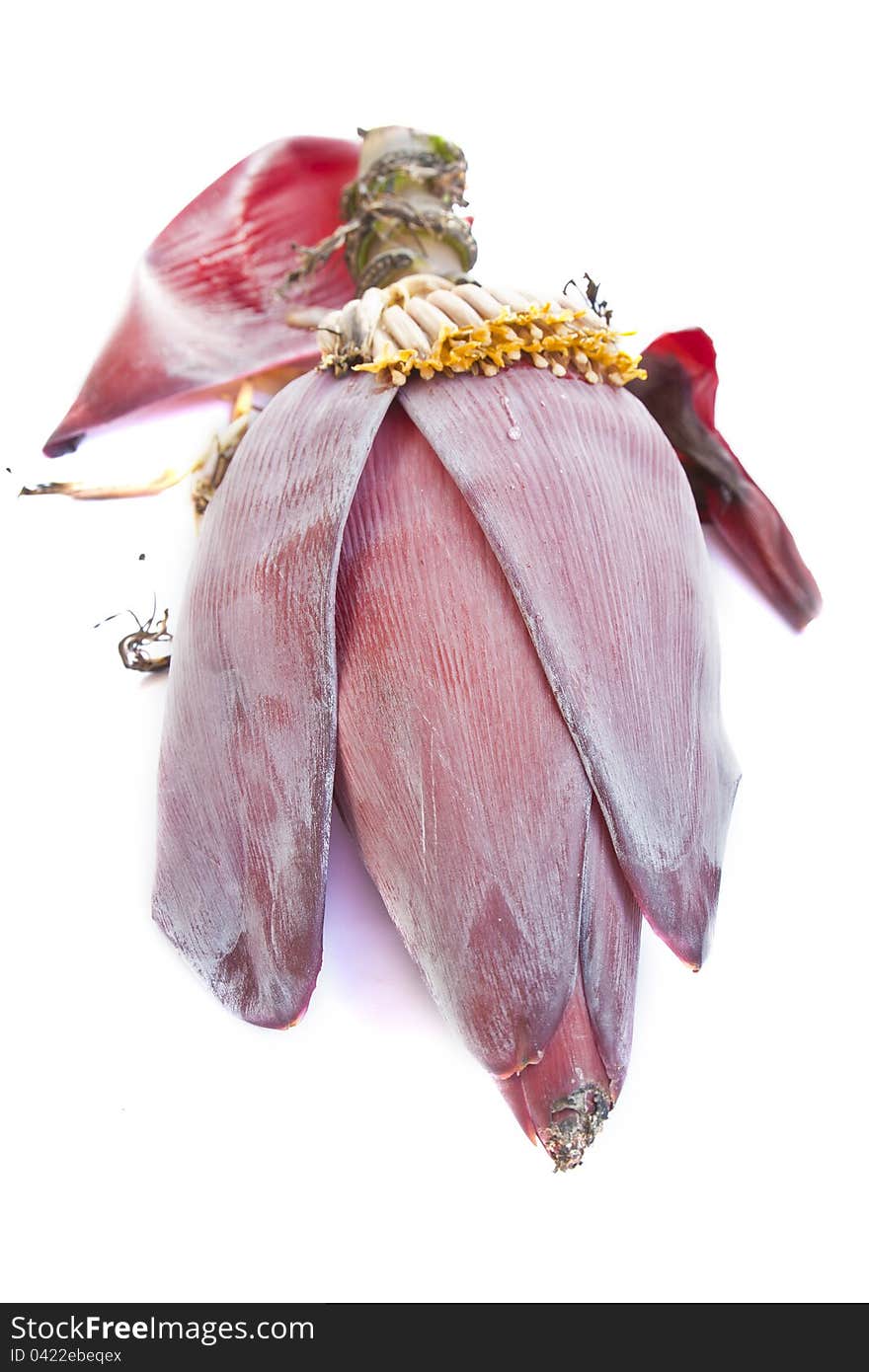 Banana blossom on white background