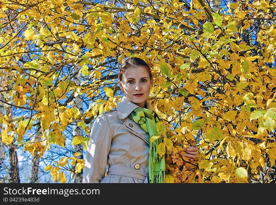 Portrait of a girl on a background of yellow leaves of the tree. Portrait of a girl on a background of yellow leaves of the tree.