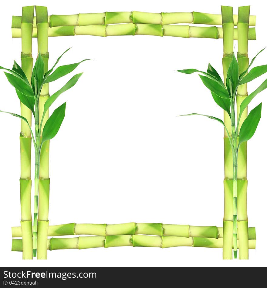 Bamboo frame