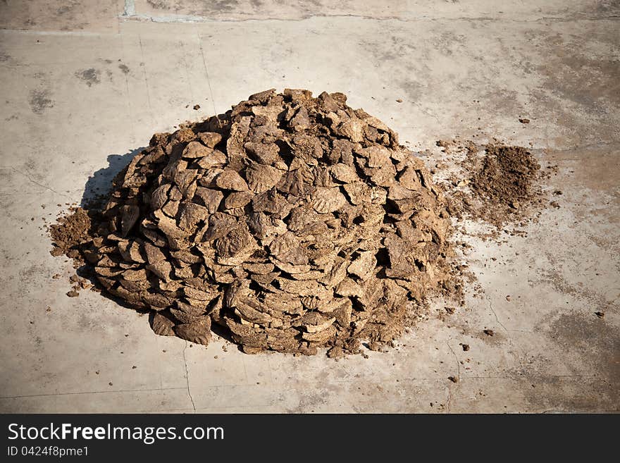 Collection of cow and buffalo dung cake. Collection of cow and buffalo dung cake