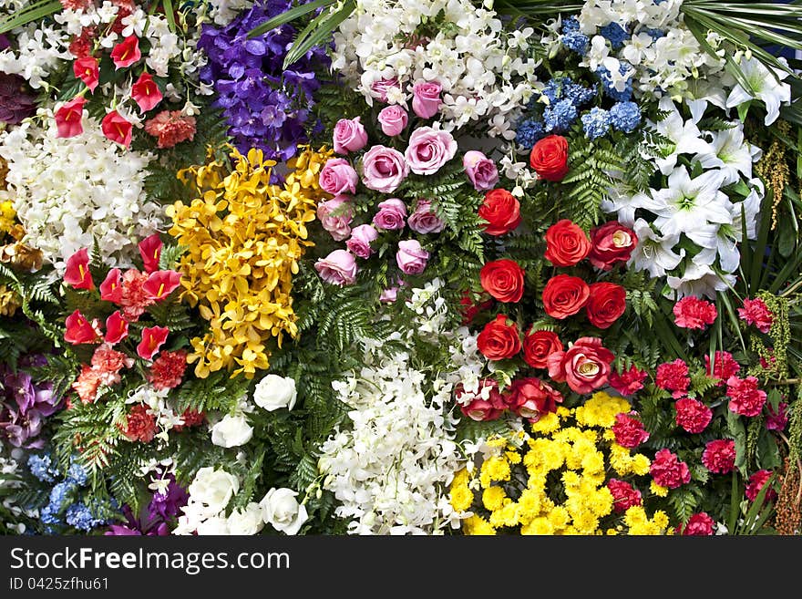 Beautiful background flowers in bloom. Beautiful background flowers in bloom