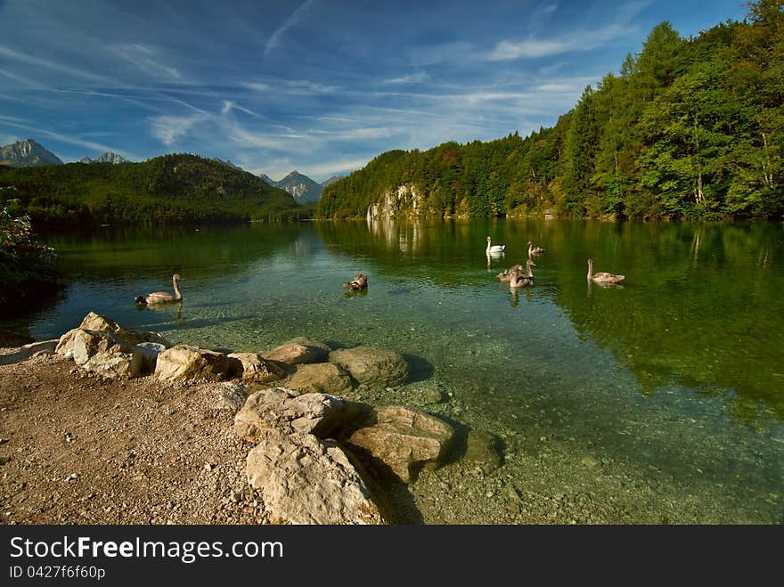 Landscape with swans, lake and mountains