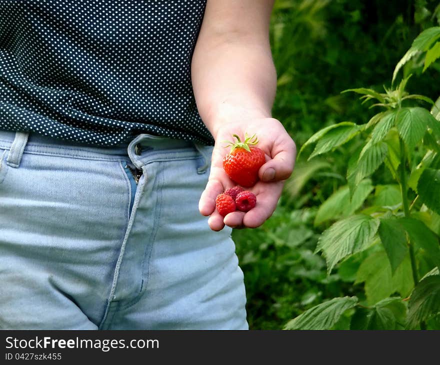 Strawberries